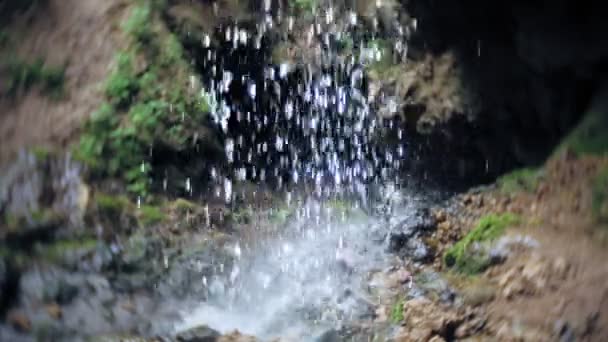 Cascata verde foresta fiume ruscello paesaggio — Video Stock