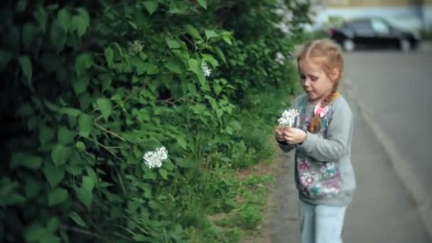 Mooi kind pakt bloemen op een voorjaar groene weide — Stockvideo