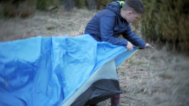 Kinderen verzamelen een toeristische tent over de natuur in het bos — Stockvideo