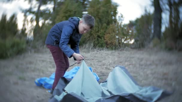 Barnen samlas ett turist-tält på naturen i skogen — Stockvideo