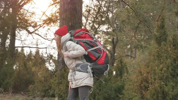 Una atractiva joven con un sombrero rojo camina por el bosque a principios de primavera con una gran mochila turística —  Fotos de Stock