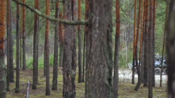 Soldados en camuflaje con armas de combate se abren camino fuera del bosque, con el objetivo de capturarlo, el concepto militar — Vídeos de Stock