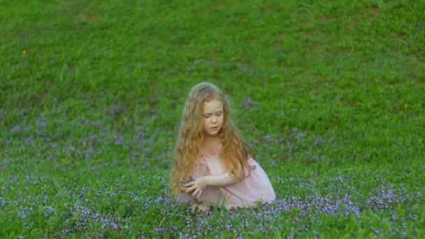 어린 소녀는 풀밭에서 꽃 따기 — 비디오