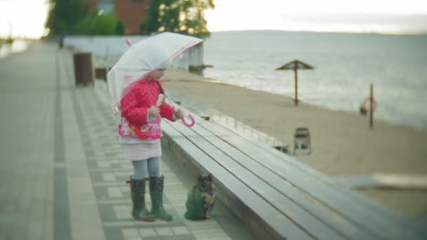 Niña hermosa y gato con paraguas jugando bajo la lluvia comiendo helado en la costa — Vídeo de stock