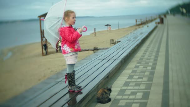 Pequena menina bonita e gato com guarda-chuva brincando na chuva comendo sorvete na costa — Vídeo de Stock