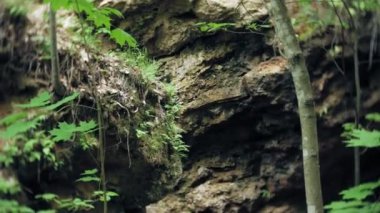 Açık havada hiking uzun yürüyüşe çıkan kimse ayak adımları. kayalık arazide yürüyüş ayak