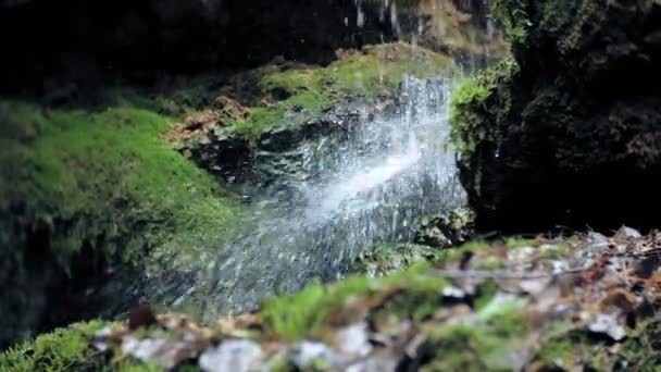 Vodopád zelený les řeka potok krajina — Stock video