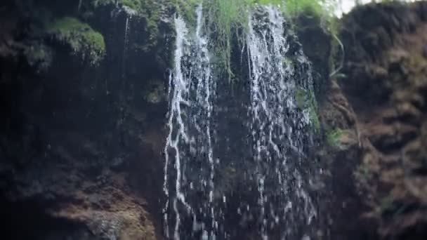 Зеленый водопад — стоковое видео