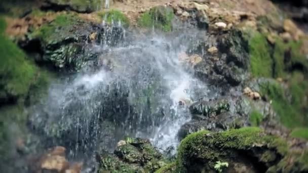 Şelale yeşil orman nehir manzarası — Stok video