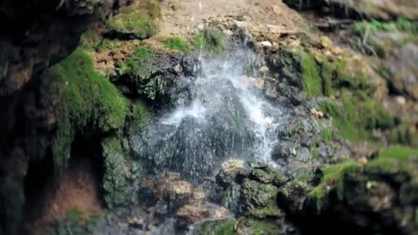 Зеленый водопад — стоковое видео