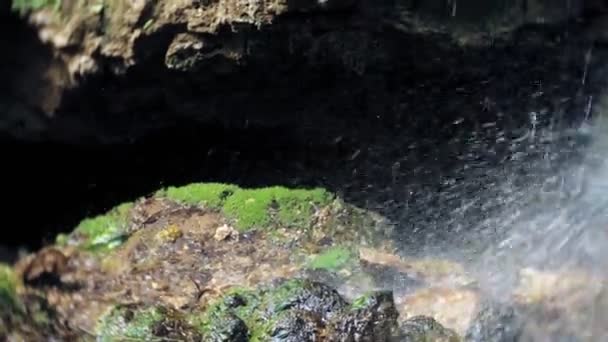 Cascata verde foresta fiume ruscello paesaggio — Video Stock