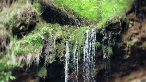 Зеленый водопад — стоковое видео
