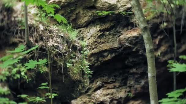 Nohy kroky tramp pěší venku. chůzi nohy na skalnatém terénu — Stock video