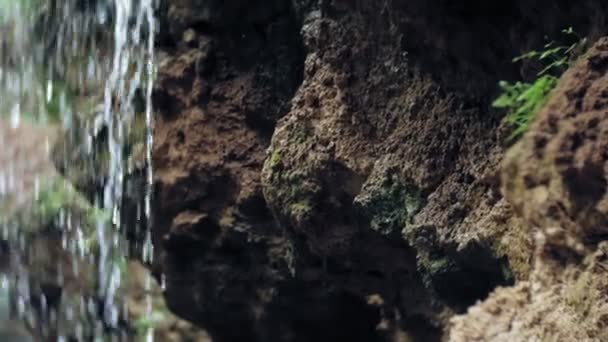 Ragazza occhiali realtà virtuale VR giornata di sole fauna selvatica donna alzando le mani picchi montagne, cascata, foresta elettronica indossabile tecnologia utilizzando simulatore di gioco esperienza visiva 3d innovazione cosmica — Video Stock