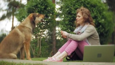 Bir kadın bir dizüstü bilgisayar ile güzel bir yeşil parkta çim çimenlikte köpeğiyle rahatlatır. Bir genç çok yıllık kadında bir dizüstü bilgisayar çalışan bir botanik bahçesi. Açık havada teknoloji