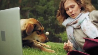 Bir kadın bir dizüstü bilgisayar ile güzel bir yeşil parkta çim çimenlikte köpeğiyle rahatlatır. Bir genç çok yıllık kadında bir dizüstü bilgisayar çalışan bir botanik bahçesi. Açık havada teknoloji