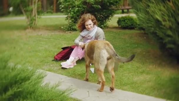 ノート パソコンで女性は彼女の犬と緑豊かな美しい公園の草の芝生で寛ぎます。ノート パソコンの背後に働く植物園の多年生若い女性。オープンエアの技術 — ストック動画