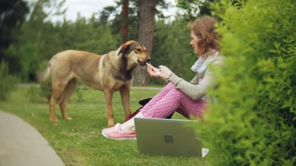 Una mujer con un portátil se relaja en un césped de hierba en un hermoso parque verde con su perro. Una joven mujer perenne en un arboreto trabajando detrás de un portátil. Tecnología al aire libre — Vídeos de Stock