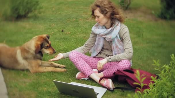 Μια γυναίκα με ένα φορητό υπολογιστή που χαλαρώνει σε έναν χορτοτάπητα χλόης σε ένα όμορφο, καταπράσινο πάρκο με το σκύλο. Μια νεαρή γυναίκα αιώνιο σε ένας δενδρολογικός κήπος που εργάζονται πίσω από ένα φορητό υπολογιστή. Τεχνολογία στην ύπαιθρο — Αρχείο Βίντεο