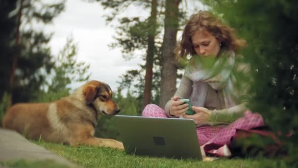 En kvinna med en laptop slappnar på en gräsmatta i en vacker grön park med sin hund. En ung perenn kvinna i ett arboretum som arbetar bakom en laptop. Teknik utomhus — Stockvideo