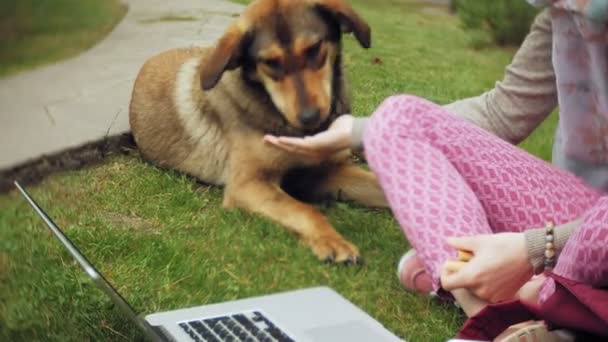 Seorang wanita dengan laptop santai di rumput halaman di taman hijau yang indah dengan anjingnya. Seorang wanita muda abadi di arboretum bekerja di belakang laptop. Teknologi di udara terbuka — Stok Video