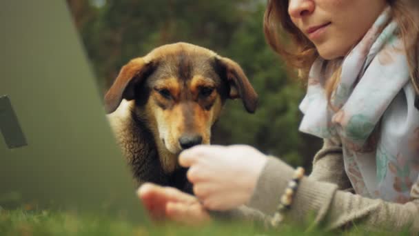 Una mujer con un portátil se relaja en un césped de hierba en un hermoso parque verde con su perro. Una joven mujer perenne en un arboreto trabajando detrás de un portátil. Tecnología al aire libre — Vídeos de Stock