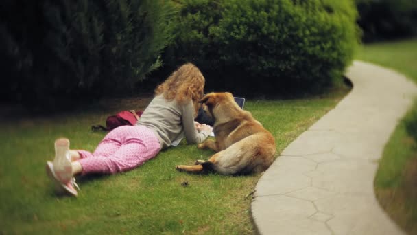 Eine Frau mit Laptop entspannt mit ihrem Hund auf einer Rasenfläche in einem schönen grünen Park. eine junge mehrjährige Frau in einem Arboretum, die hinter einem Laptop arbeitet. Technologie unter freiem Himmel — Stockvideo