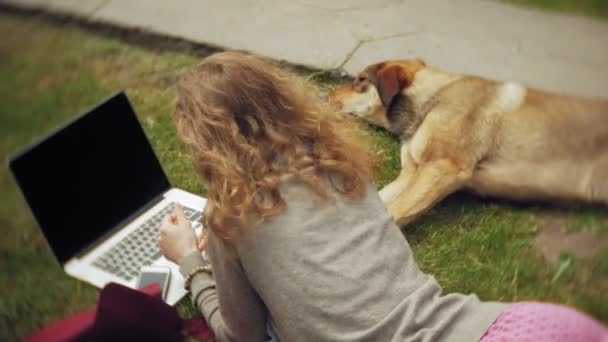 Uma mulher com um laptop relaxa em um gramado de grama em um belo parque verde com seu cão. Uma jovem mulher perene em um arboreto trabalhando atrás de um laptop. Tecnologia ao ar livre — Vídeo de Stock