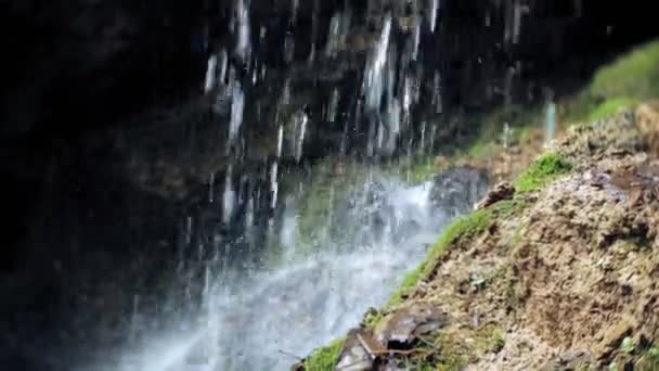 Waterfall green forest river stream landscape — Stock Video