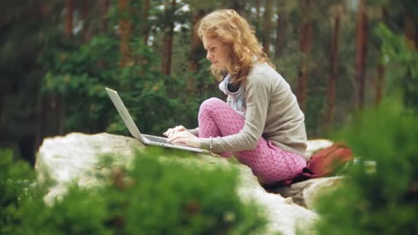 一个有笔记本电脑的女人在美丽的绿色公园的岩石上放松。在一台笔记本电脑后面工作的树木园里的年轻的多年生妇女。开放空气中的技术 — 图库视频影像