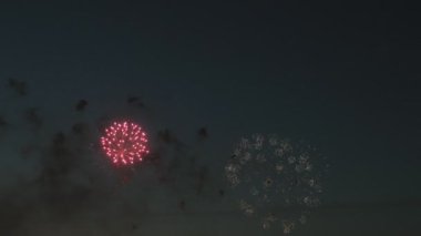 gece gökyüzünde güzel havai fişek gösterisi