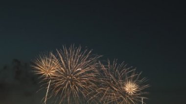 gece gökyüzünde güzel havai fişek gösterisi