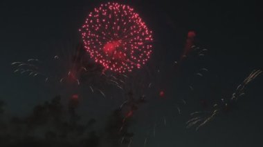 gece gökyüzünde güzel havai fişek gösterisi