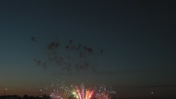 Gece gökyüzünde güzel havai fişek gösterisi — Stok video