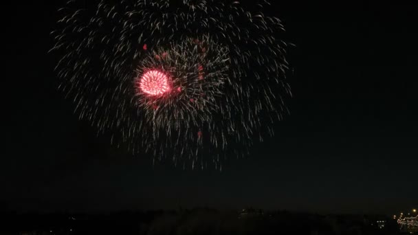 在夜空中美丽的焰火表演 — 图库视频影像