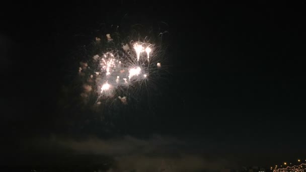 Belo show de fogos de artifício no céu noturno — Vídeo de Stock