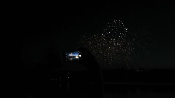 Hermoso espectáculo de fuegos artificiales en el cielo nocturno — Vídeo de stock