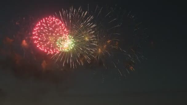 Hermoso espectáculo de fuegos artificiales en el cielo nocturno — Vídeos de Stock
