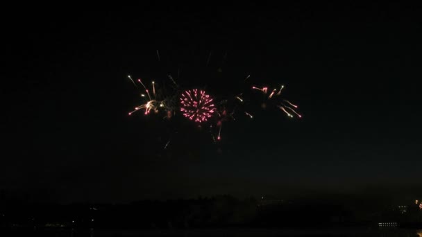 Gece gökyüzünde güzel havai fişek gösterisi — Stok video