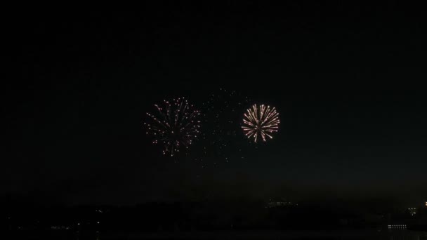 Hermoso espectáculo de fuegos artificiales en el cielo nocturno — Vídeos de Stock