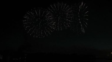 gece gökyüzünde güzel havai fişek gösterisi