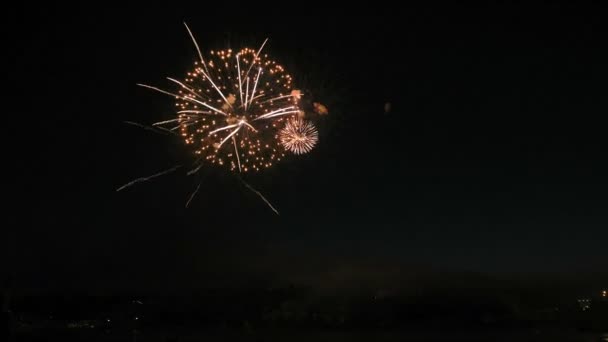 Hermoso espectáculo de fuegos artificiales en el cielo nocturno — Vídeos de Stock