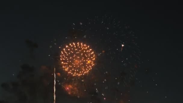 Hermoso espectáculo de fuegos artificiales en el cielo nocturno — Vídeo de stock