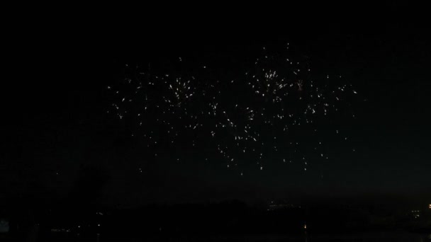 Bellissimo spettacolo pirotecnico nel cielo notturno — Video Stock