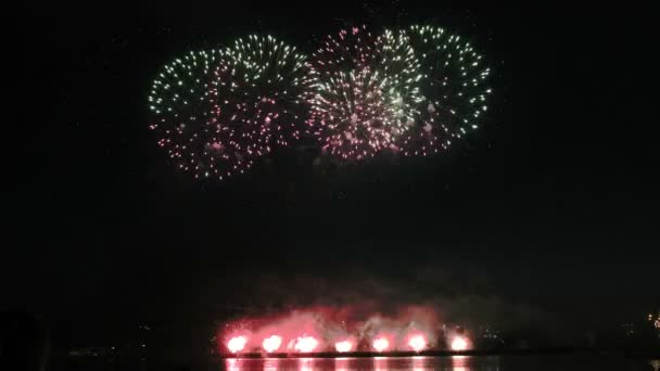 Belo show de fogos de artifício no céu noturno — Vídeo de Stock