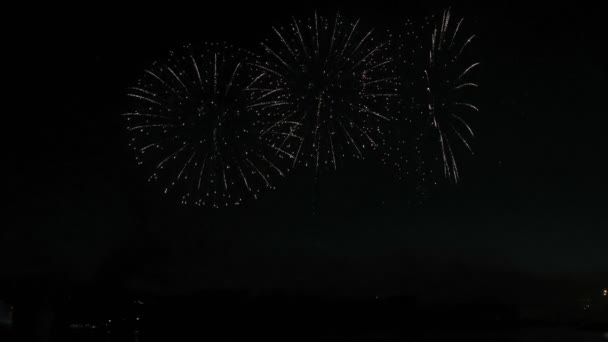 Beautiful fireworks show in the night sky — Stock Video