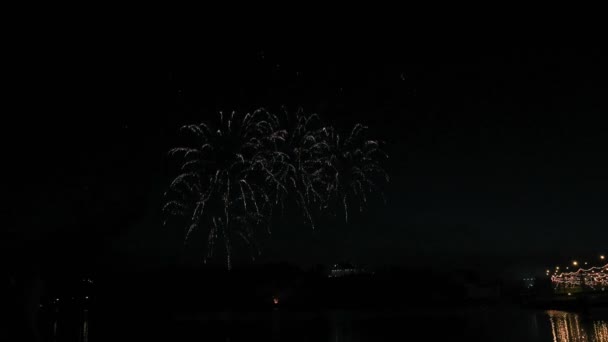 Hermoso espectáculo de fuegos artificiales en el cielo nocturno — Vídeos de Stock