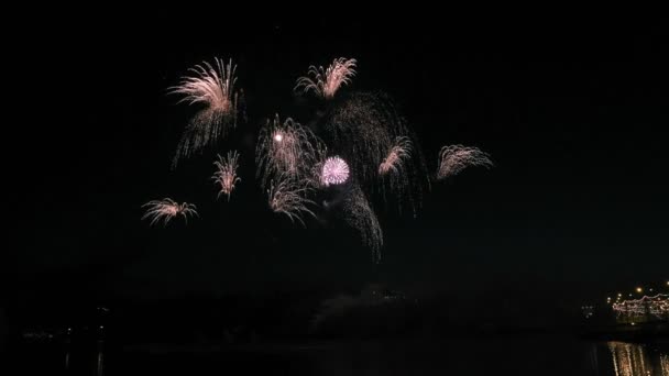Az éjszakai égbolton a gyönyörű tűzijáték — Stock videók