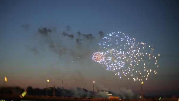 Beautiful fireworks show in the night sky — Stock Video