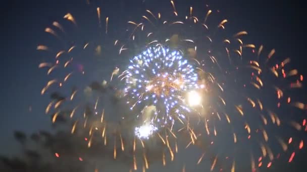 Hermoso espectáculo de fuegos artificiales en el cielo nocturno — Vídeo de stock